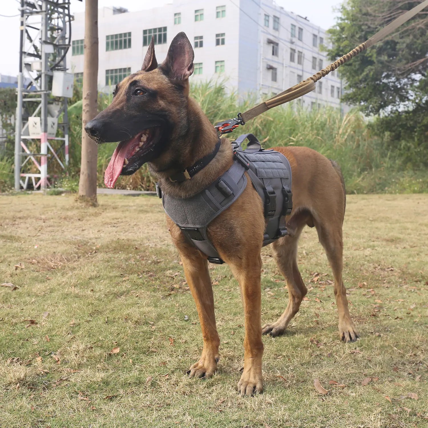 Ultimate ICEFANG GN3 Tactical Dog Harness - No Pulling Front Clip, 6X Buckle, and Molle Vest with Handle for Maximum Control and Comfort