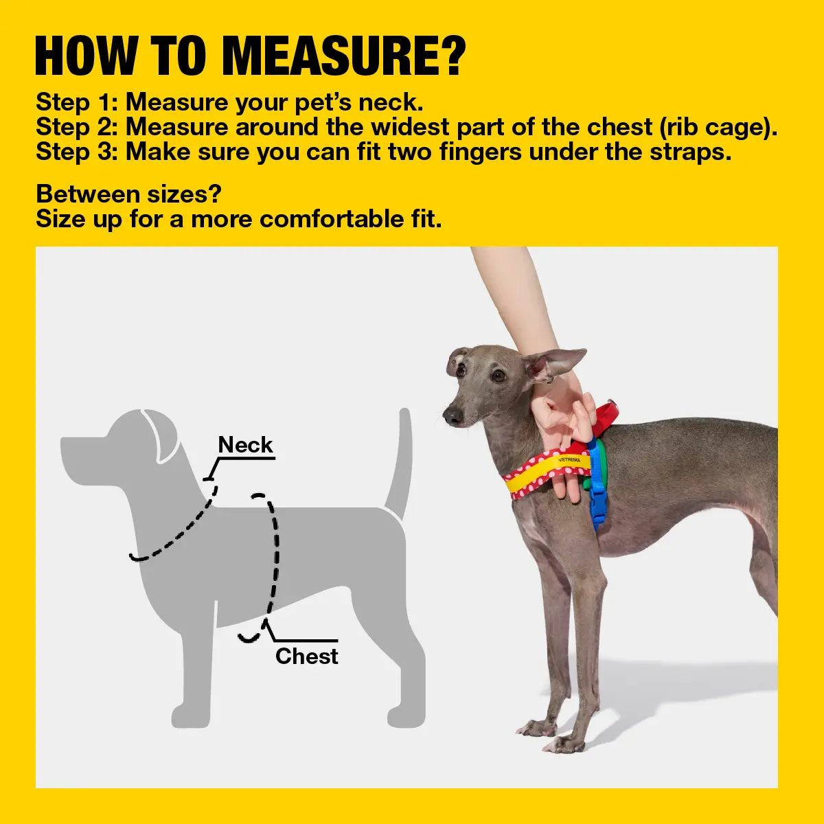 VETRESKA Moma Dog Harness and Leash Set - Ultimate No Pull Solution for Small to Medium Dogs, Adjustable & Comfortable for Training and Walks, Includes Poop Bags & Dispenser