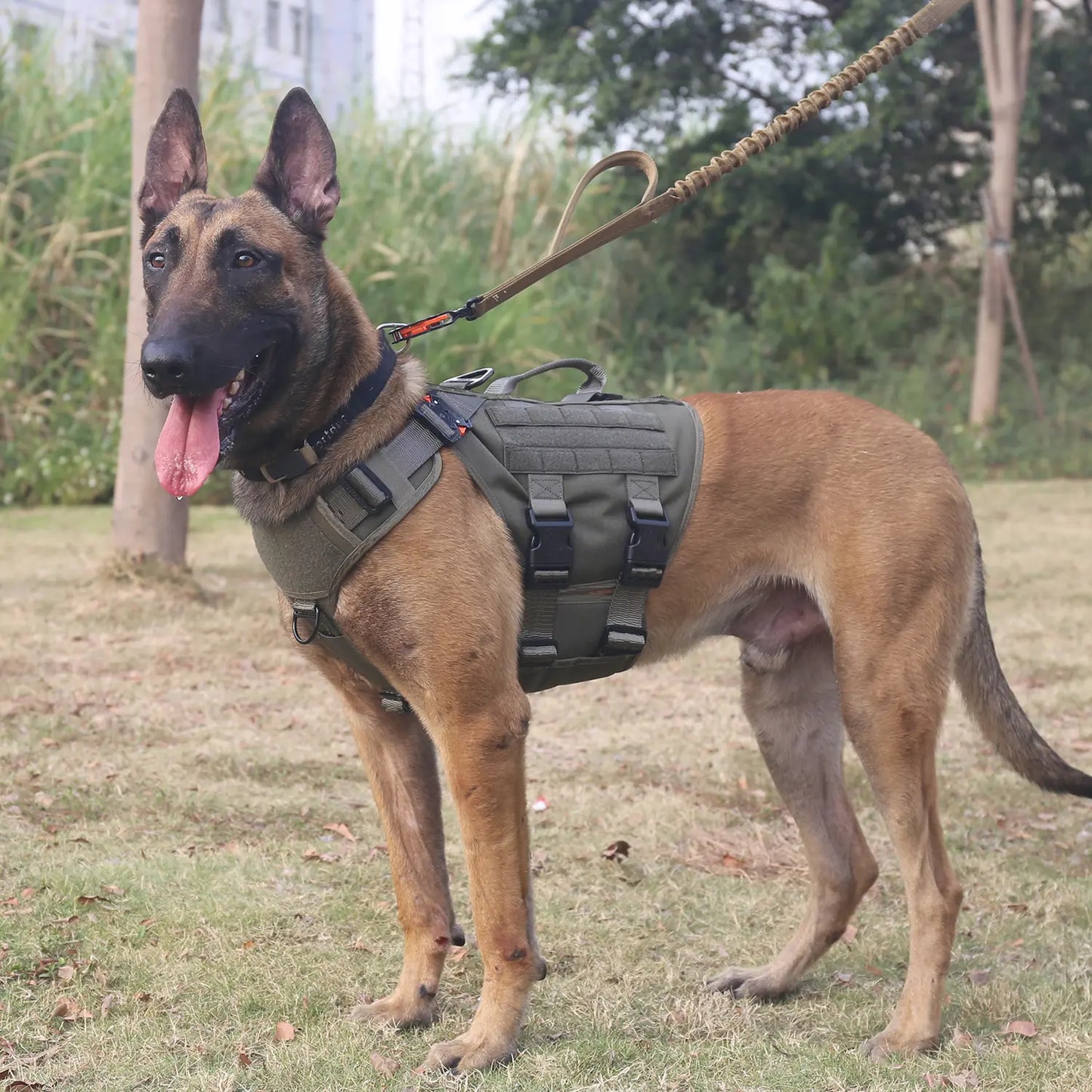 Ultimate ICEFANG GN3 Tactical Dog Harness - No Pulling Front Clip, 6X Buckle, and Molle Vest with Handle for Maximum Control and Comfort
