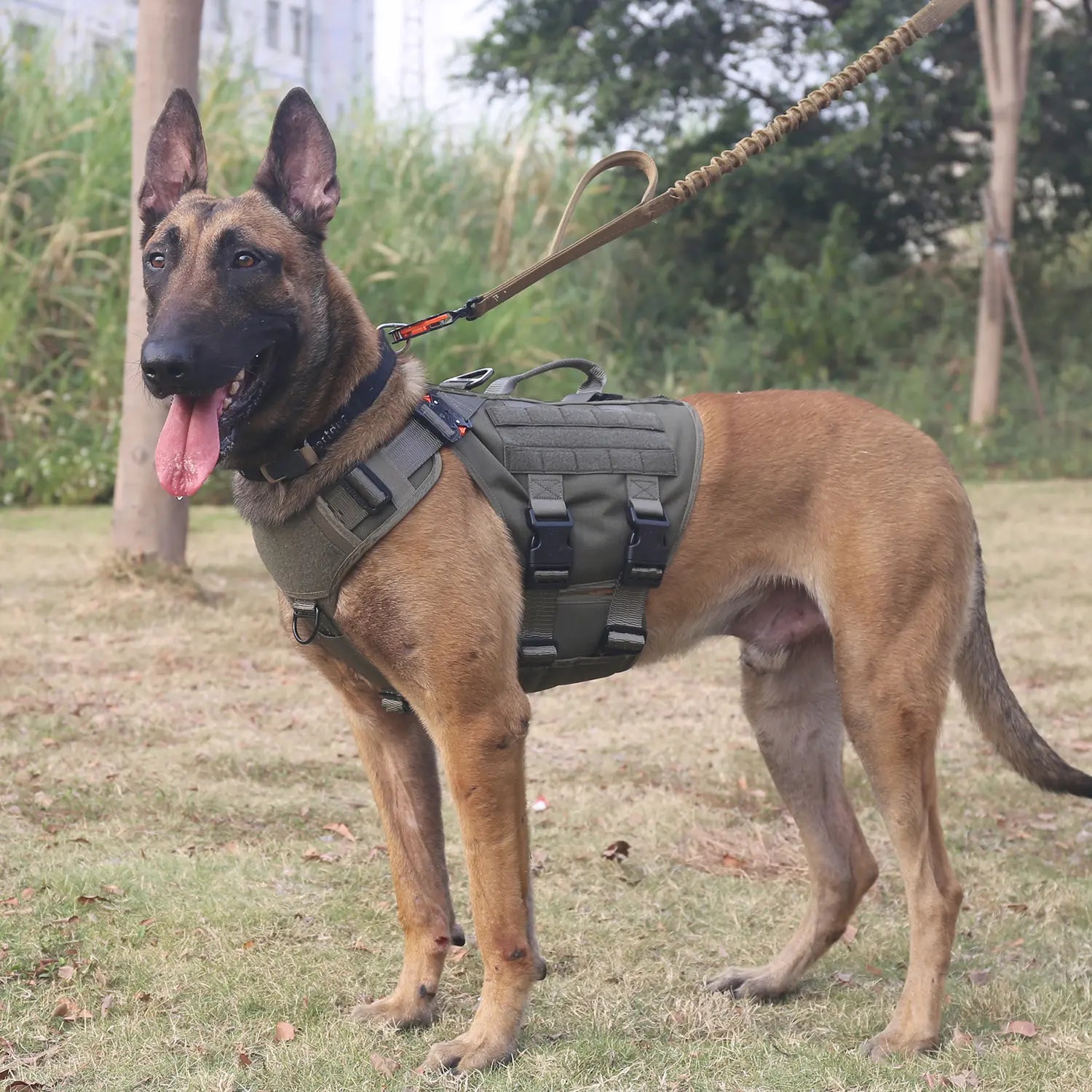 Ultimate ICEFANG GN3 Tactical Dog Harness - No Pulling Front Clip, 6X Buckle, and Molle Vest with Handle for Maximum Control and Comfort