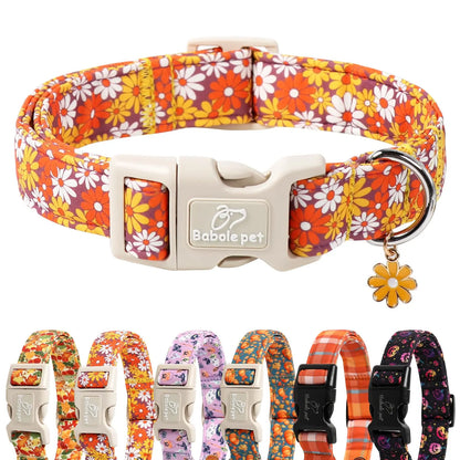 Charming Amber Fall Pumpkin Cotton Dog Collar - Adjustable, Lightweight, and Chew Resistant for Small Dogs, Perfect for Fall Adventures!