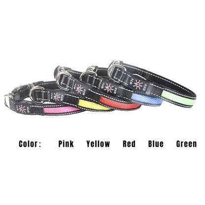 Illuminate Your Dog's Adventures: High-Visibility LED Light-Up Collar for Safe Nighttime Walks - USB Rechargeable & Adjustable for All Sizes