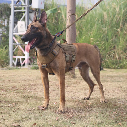 Ultimate ICEFANG GN3 Tactical Dog Harness - No Pulling Front Clip, 6X Buckle, and Molle Vest with Handle for Maximum Control and Comfort