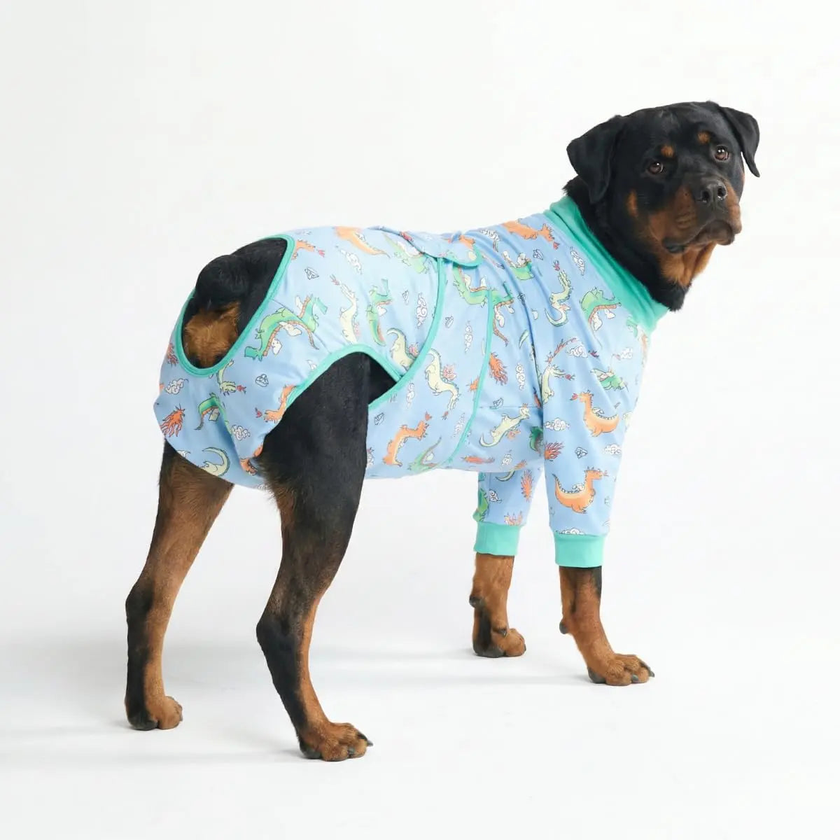 Spark Paws Dog Surgery Recovery Suit - The Ultimate Comfort Solution for Post-Surgery Pets, Soft Anti-Lick Onesie for Spay/Neuter Recovery - Donuts - Size S