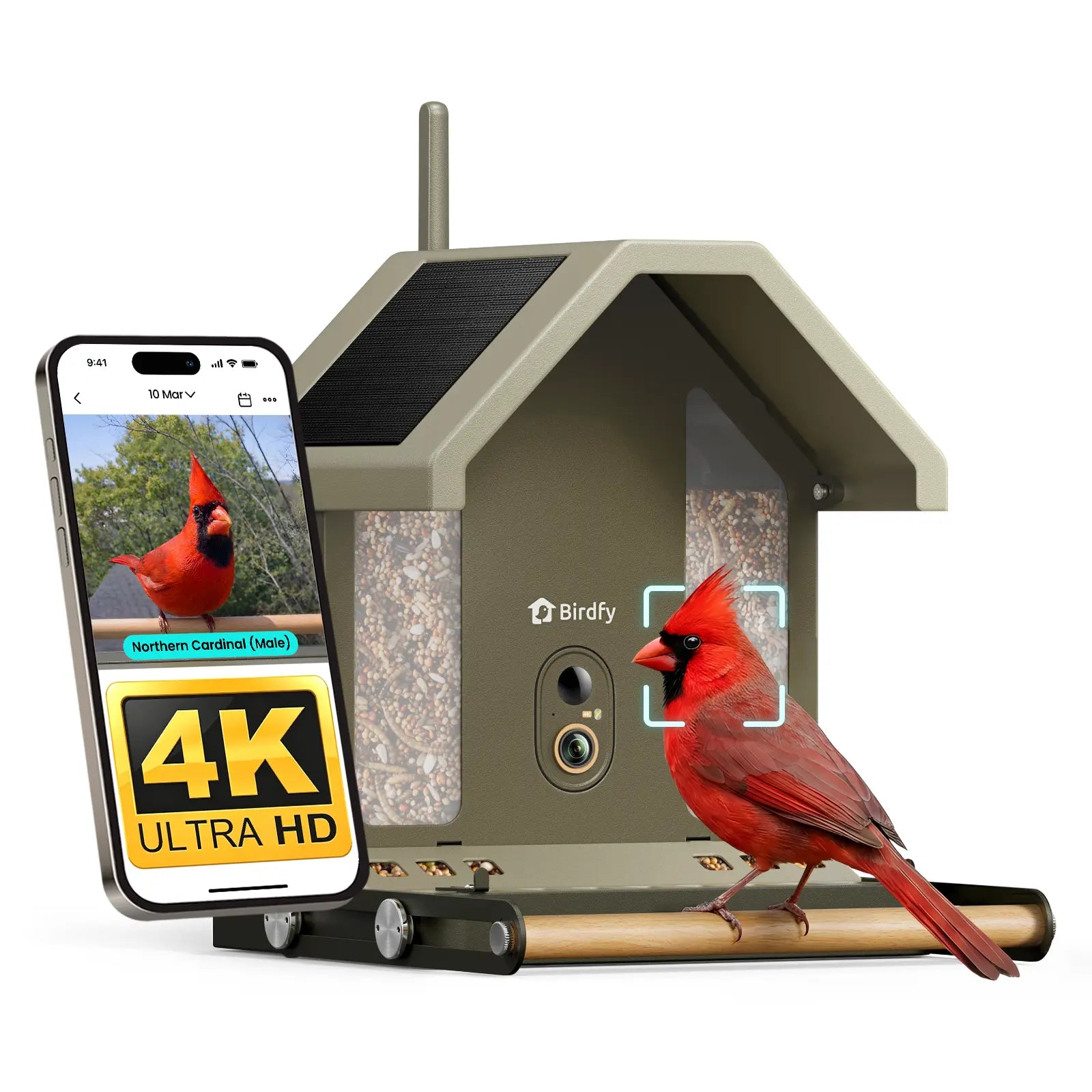 Experience Nature Up Close with the Birdfy Smart Bird Feeder - 4K UHD Video, AI Identification, and Solar Power for Bird Lovers