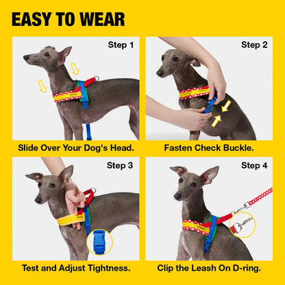 VETRESKA Moma Dog Harness and Leash Set - Ultimate No Pull Solution for Small to Medium Dogs, Adjustable & Comfortable for Training and Walks, Includes Poop Bags & Dispenser