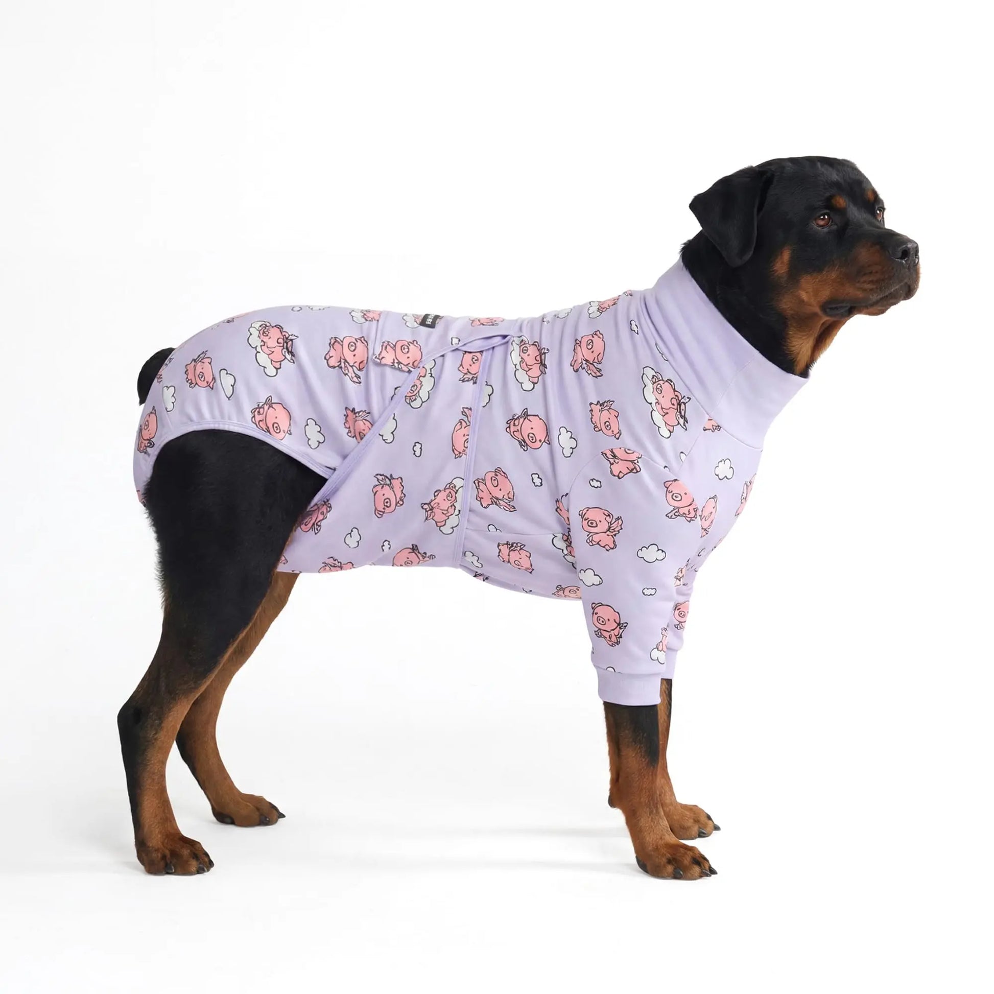 Spark Paws Dog Surgery Recovery Suit - The Ultimate Comfort Solution for Post-Surgery Pets, Soft Anti-Lick Onesie for Spay/Neuter Recovery - Donuts - Size S