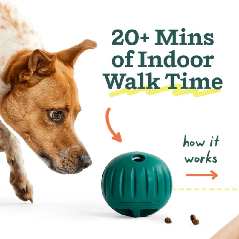 Engaging Enrichment: Woof Walkabout Adjustable Difficulty Dog Puzzle and Treat Dispenser - Durable Rubber Slow Feeder for Active Pups