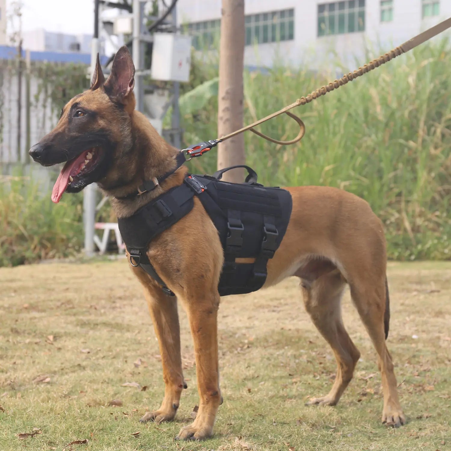 Ultimate ICEFANG GN3 Tactical Dog Harness - No Pulling Front Clip, 6X Buckle, and Molle Vest with Handle for Maximum Control and Comfort