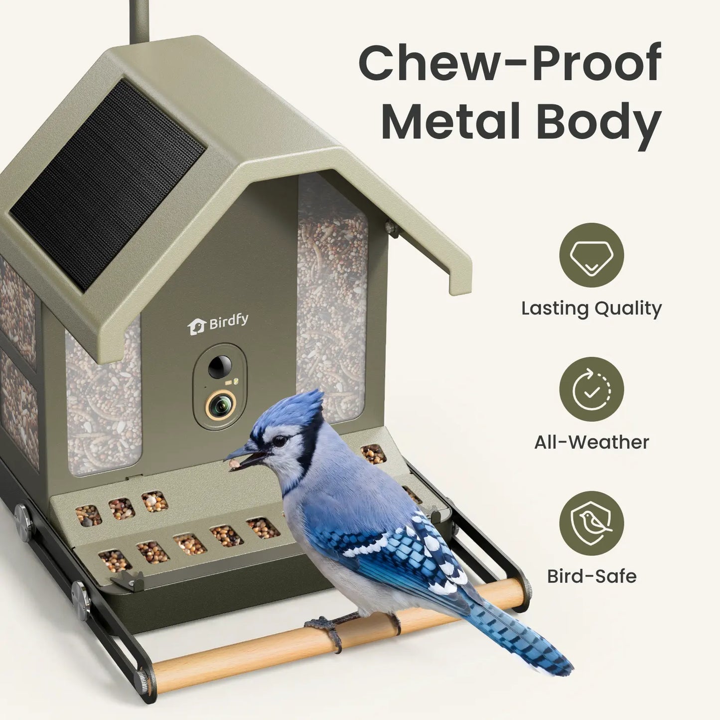 Experience Nature Up Close with the Birdfy Smart Bird Feeder - 4K UHD Video, AI Identification, and Solar Power for Bird Lovers
