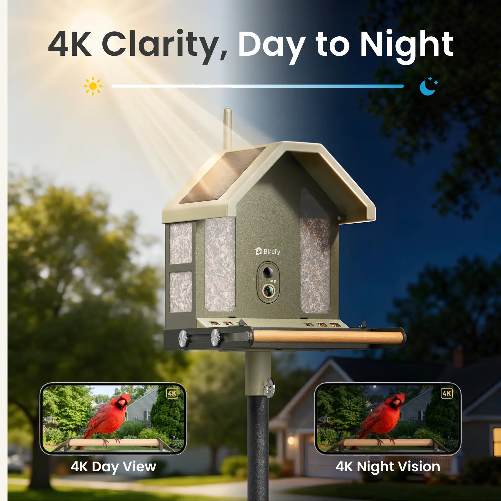 Experience Nature Up Close with the Birdfy Smart Bird Feeder - 4K UHD Video, AI Identification, and Solar Power for Bird Lovers