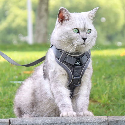 Reflective Mesh Dog Harness and Leash Set - Comfortable and Secure Vest for Small to Medium Dogs, Perfect for Walks in All Seasons!