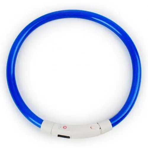 Illuminate Your Pup's Night Walks with Our Rechargeable Glow Dog Collars - Available in S, M, L Sizes!