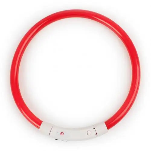 Illuminate Your Pup's Night Walks with Our Rechargeable Glow Dog Collars - Available in S, M, L Sizes!
