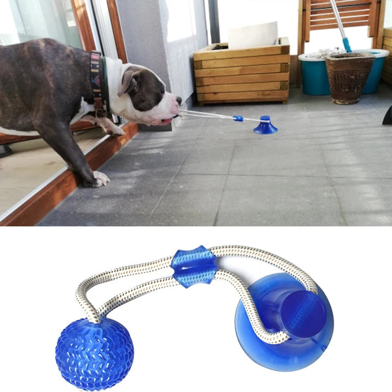 Engaging Interactive Suction Cup Dog Toy - TPR Molar Bite Ball with Elastic Ropes for Chewing and Dental Care