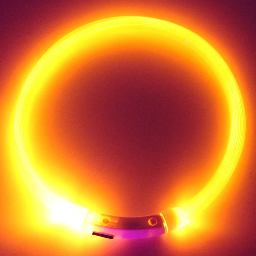 Illuminate Your Pup's Night Walks with Our Rechargeable Glow Dog Collars - Available in S, M, L Sizes!