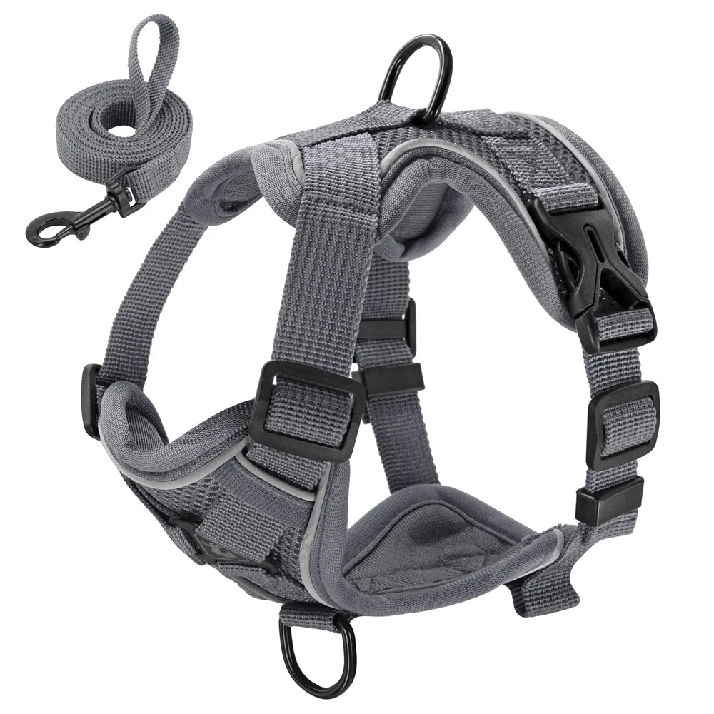 Reflective Mesh Dog Harness and Leash Set - Comfortable and Secure Vest for Small to Medium Dogs, Perfect for Walks in All Seasons!