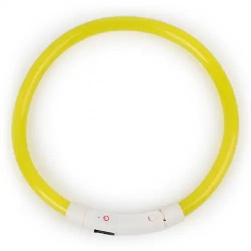 Illuminate Your Pup's Night Walks with Our Rechargeable Glow Dog Collars - Available in S, M, L Sizes!