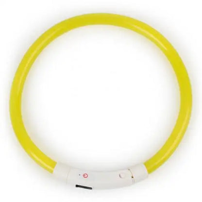 Illuminate Your Pup's Night Walks with Our Rechargeable Glow Dog Collars - Available in S, M, L Sizes!