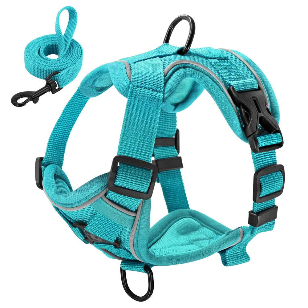 Reflective Mesh Dog Harness and Leash Set - Comfortable and Secure Vest for Small to Medium Dogs, Perfect for Walks in All Seasons!