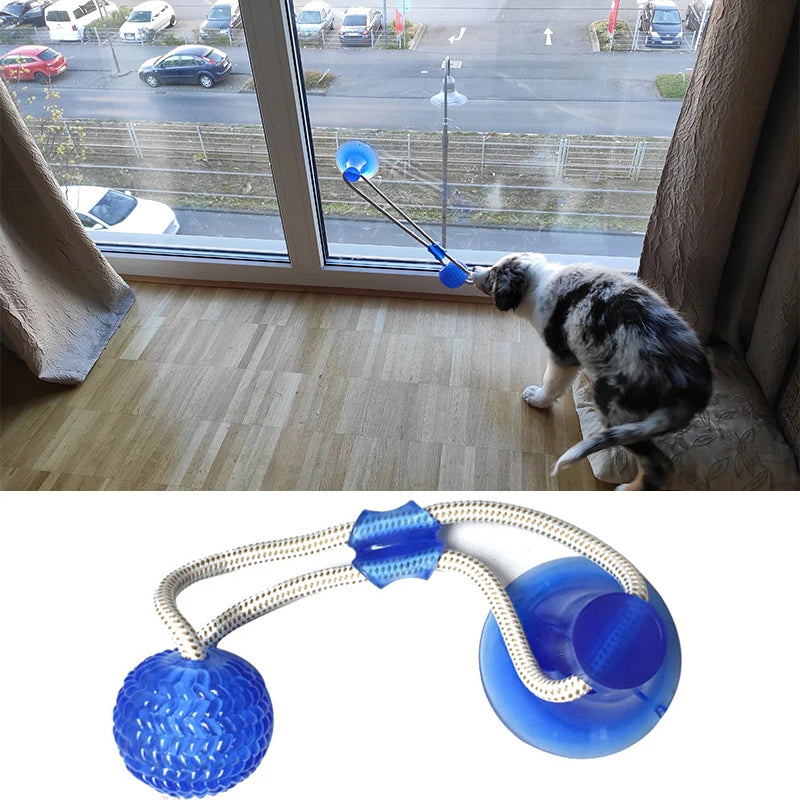 Engaging Interactive Suction Cup Dog Toy - TPR Molar Bite Ball with Elastic Ropes for Chewing and Dental Care