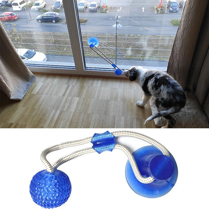 Engaging Interactive Suction Cup Dog Toy - TPR Molar Bite Ball with Elastic Ropes for Chewing and Dental Care