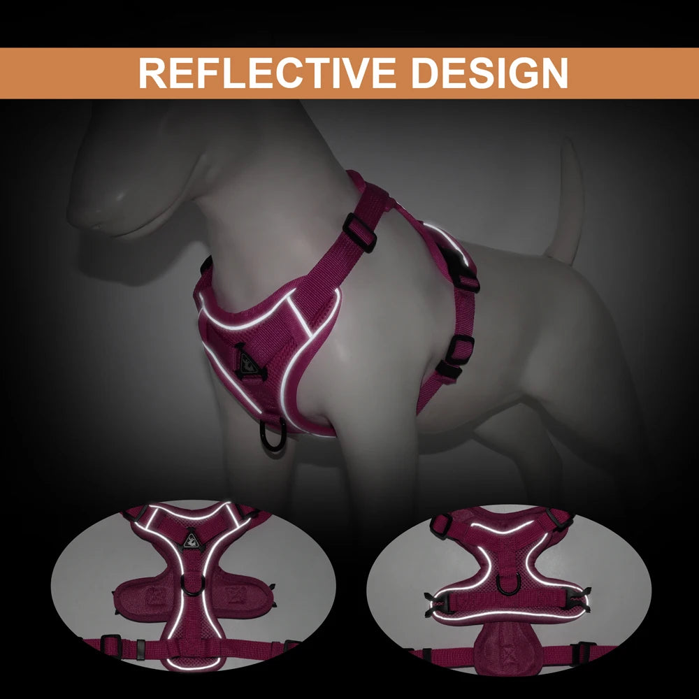 Reflective Mesh Dog Harness and Leash Set - Comfortable and Secure Vest for Small to Medium Dogs, Perfect for Walks in All Seasons!