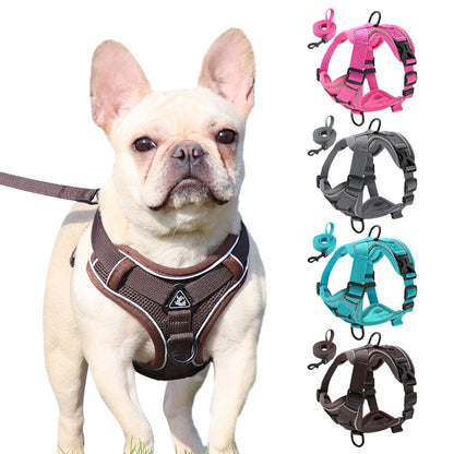 Reflective Mesh Dog Harness and Leash Set - Comfortable and Secure Vest for Small to Medium Dogs, Perfect for Walks in All Seasons!