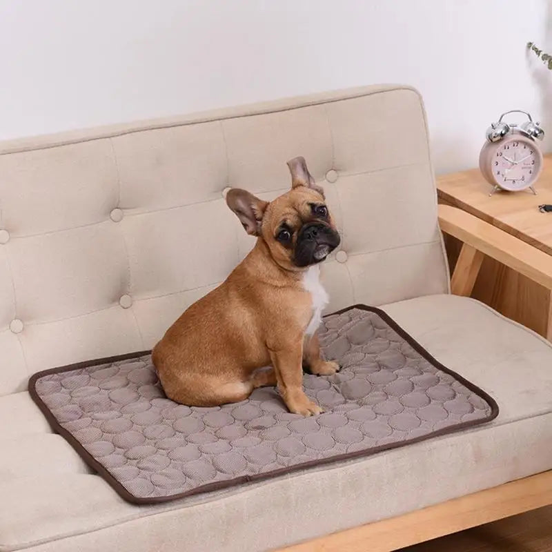 Cooling Summer Dog Mat - Breathable and Washable Pet Pad for All Sizes