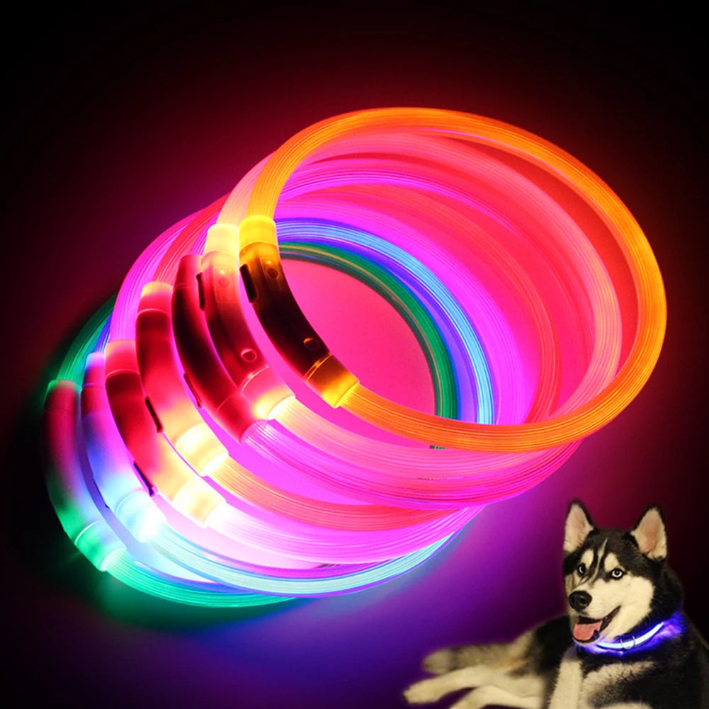 Illuminate Your Pup's Night Walks with Our Rechargeable Glow Dog Collars - Available in S, M, L Sizes!