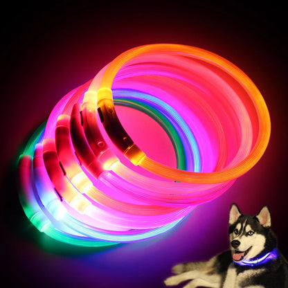 Illuminate Your Pup's Night Walks with Our Rechargeable Glow Dog Collars - Available in S, M, L Sizes!