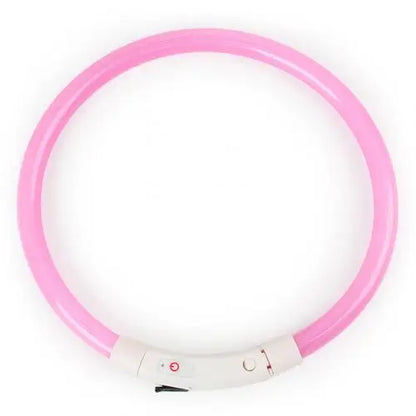 Illuminate Your Pup's Night Walks with Our Rechargeable Glow Dog Collars - Available in S, M, L Sizes!