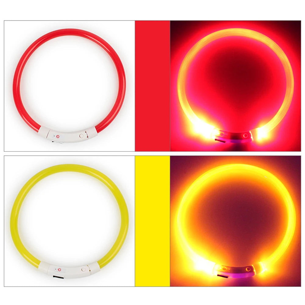 Illuminate Your Pup's Night Walks with Our Rechargeable Glow Dog Collars - Available in S, M, L Sizes!