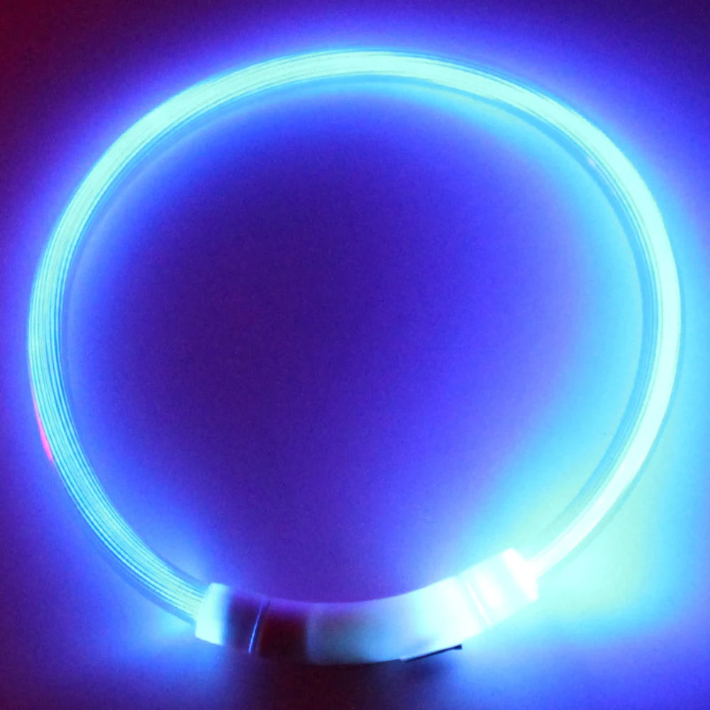 Illuminate Your Pup's Night Walks with Our Rechargeable Glow Dog Collars - Available in S, M, L Sizes!