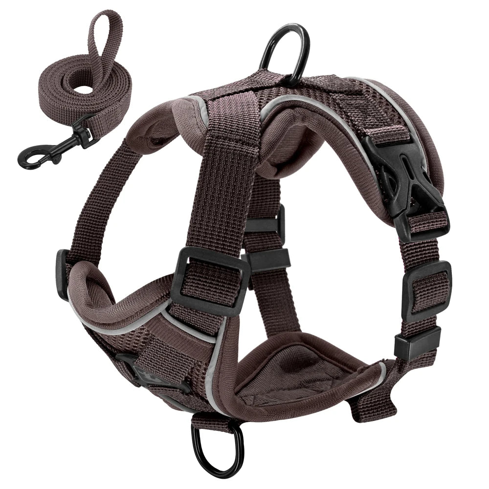 Reflective Mesh Dog Harness and Leash Set - Comfortable and Secure Vest for Small to Medium Dogs, Perfect for Walks in All Seasons!