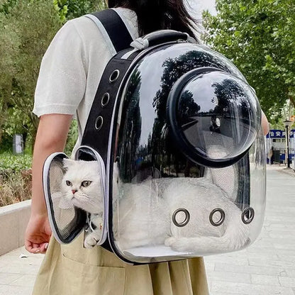 Transparent Space Capsule Cat Carrier Backpack - Breathable, Portable, and Perfect for Travel with Your Pet
