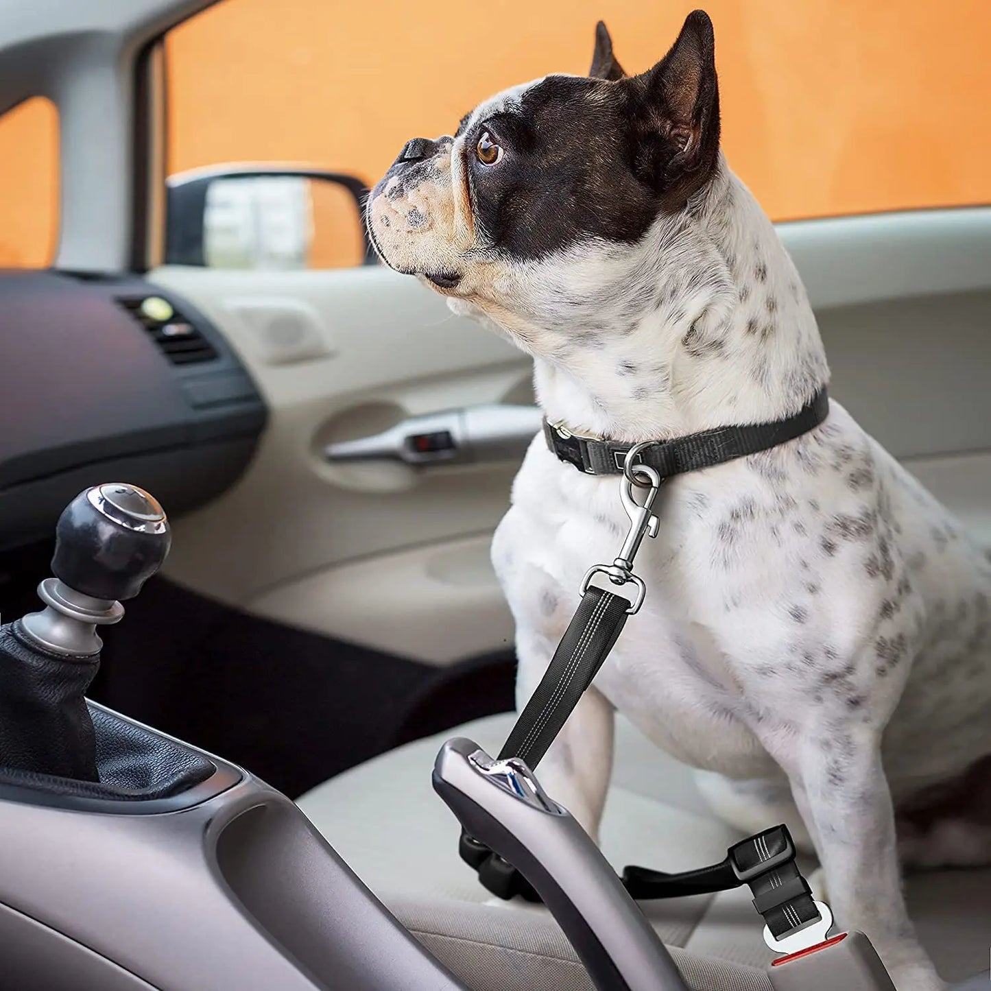 Secure Your Pet's Safety with Our Adjustable Dog Car Seat Belt - Perfect for Travel!