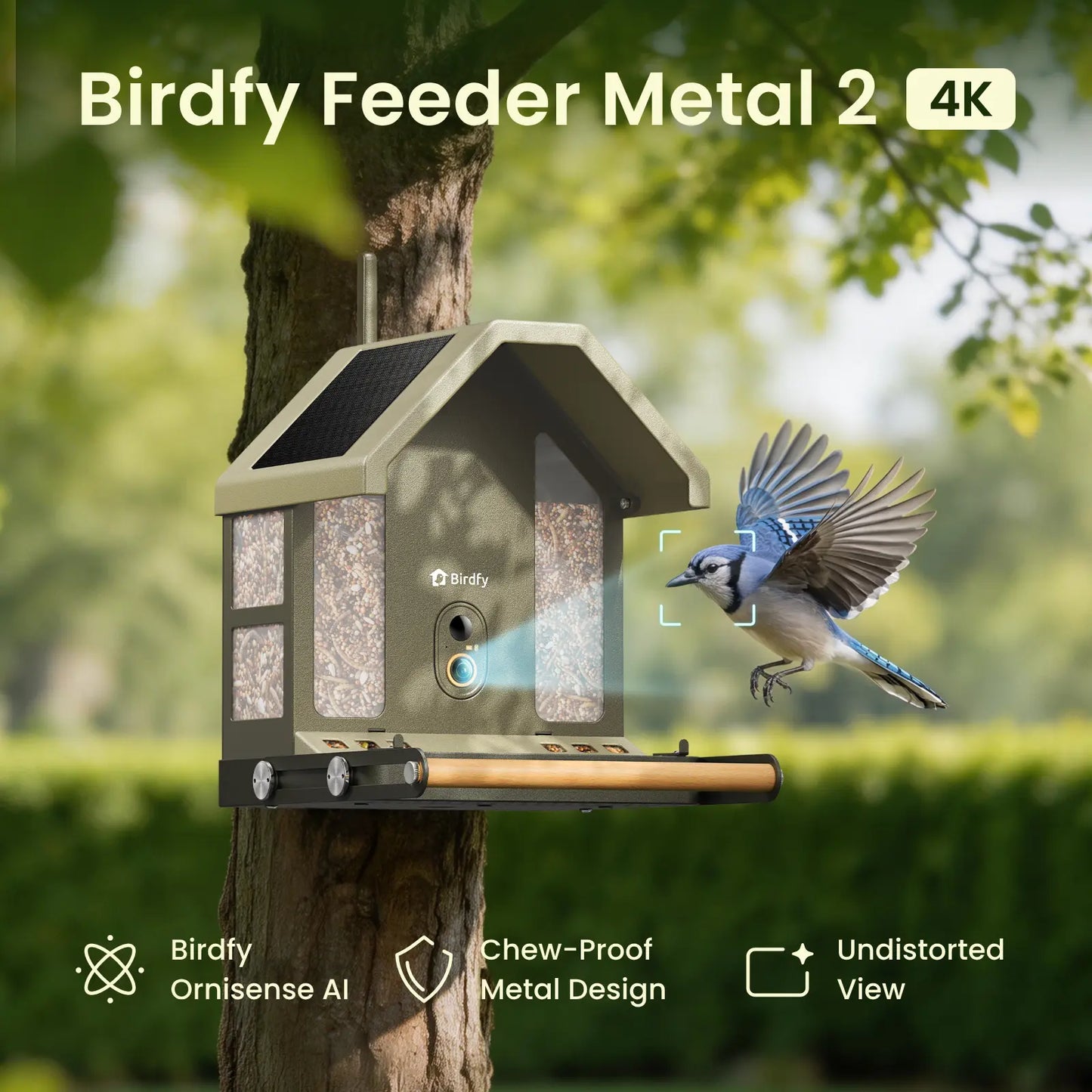 Experience Nature Up Close with the Birdfy Smart Bird Feeder - 4K UHD Video, AI Identification, and Solar Power for Bird Lovers