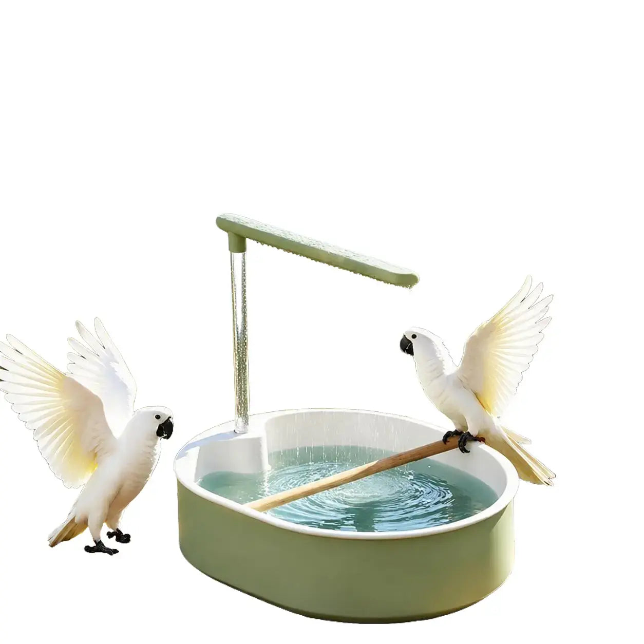 Deluxe Automatic Bird Bath Fountain for Medium Parrots - Relaxing Rain Shower with Secure Wooden Perch and Automated Water Circulation