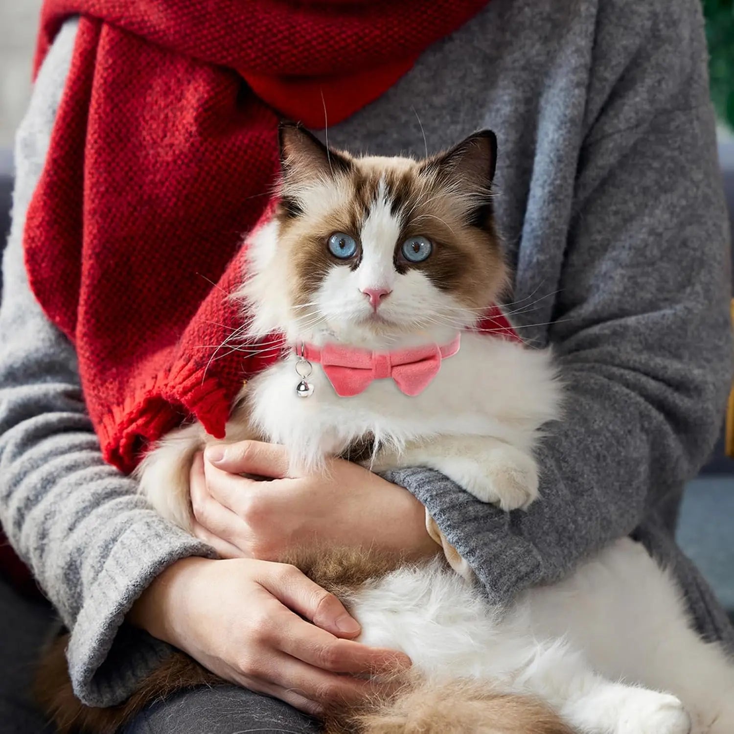 Charming Adjustable Pet Collar with Bell - Adorable Bowknot Design & Safety Buckle for Small Dogs & Cats