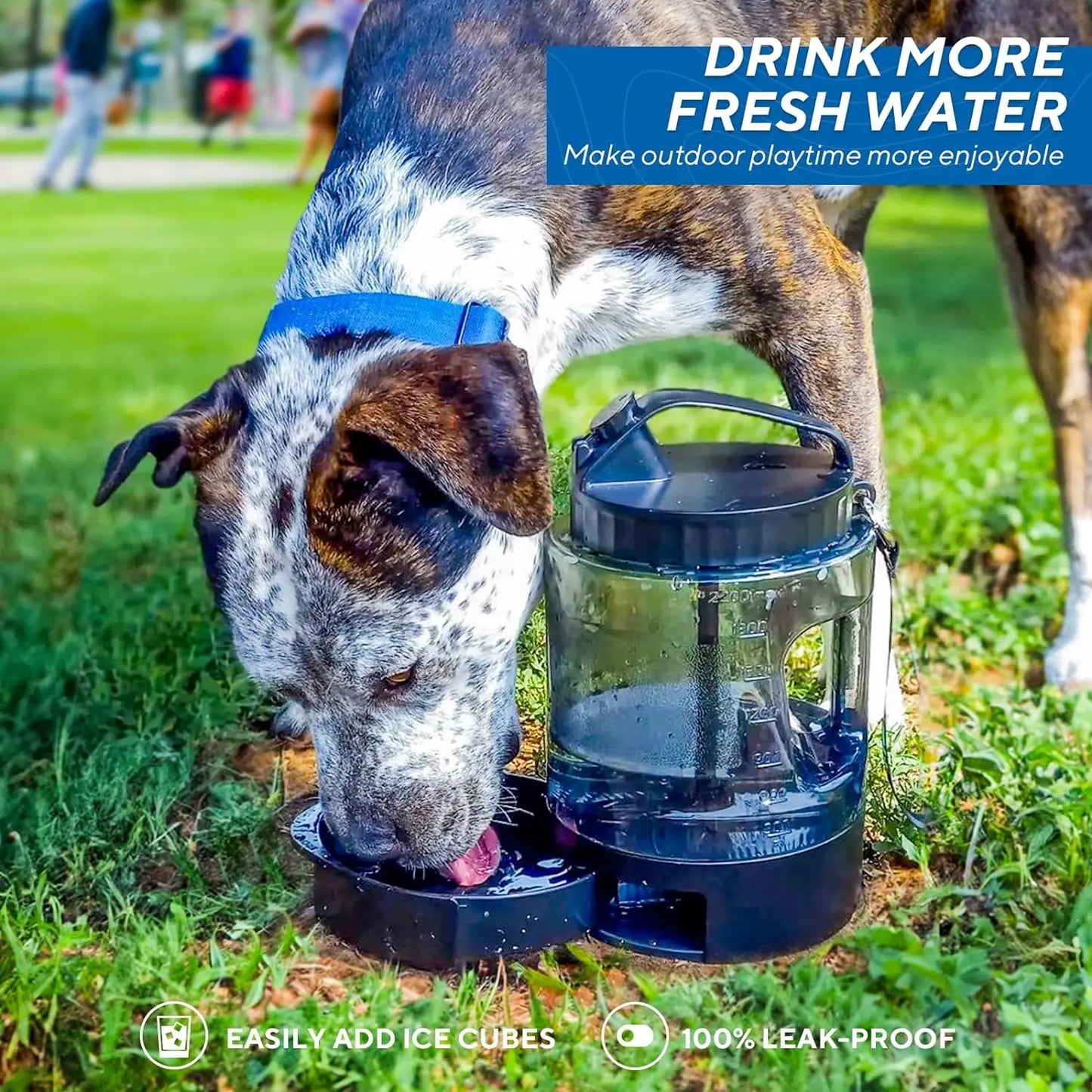 Stay Hydrated on Your Adventures with the Lesotc 77Oz Portable Dog Water Bottle Dispenser - Perfect for Hiking, Camping, and Travel!