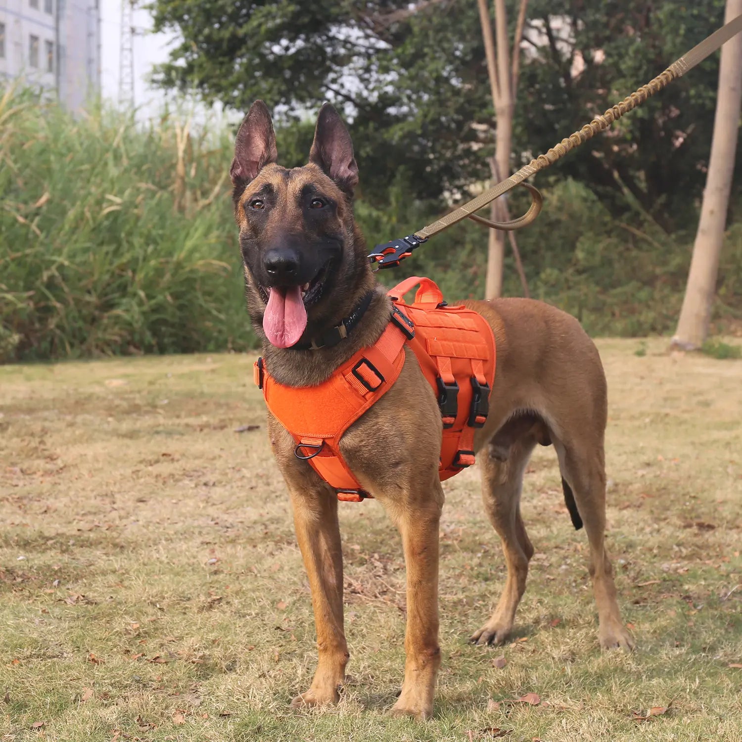 Ultimate ICEFANG GN3 Tactical Dog Harness - No Pulling Front Clip, 6X Buckle, and Molle Vest with Handle for Maximum Control and Comfort