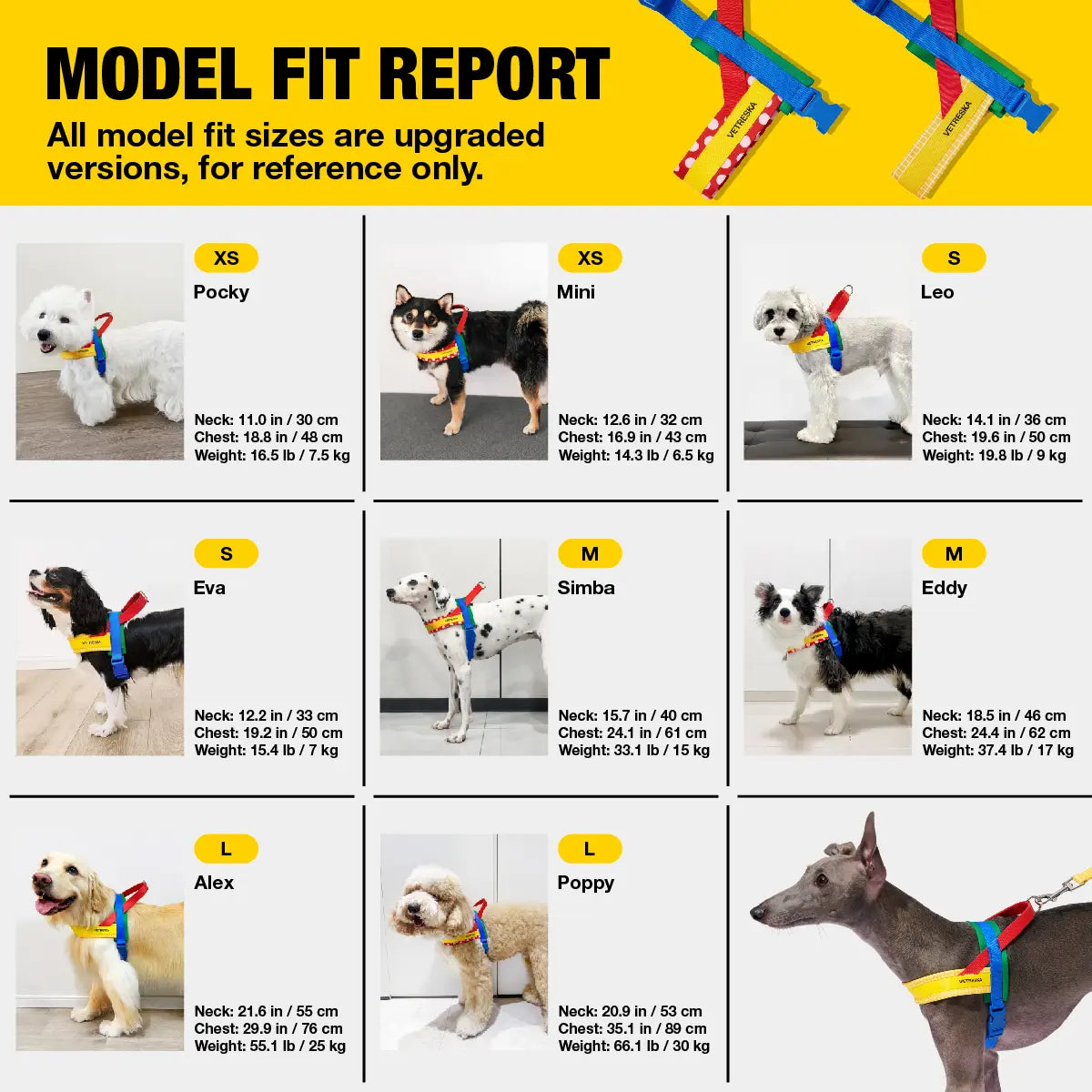 VETRESKA Moma Dog Harness and Leash Set - Ultimate No Pull Solution for Small to Medium Dogs, Adjustable & Comfortable for Training and Walks, Includes Poop Bags & Dispenser