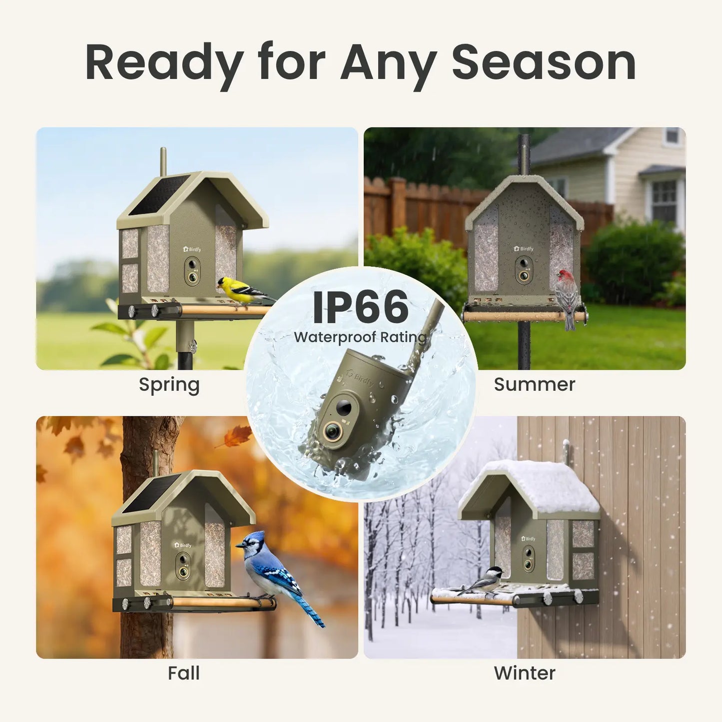 Experience Nature Up Close with the Birdfy Smart Bird Feeder - 4K UHD Video, AI Identification, and Solar Power for Bird Lovers
