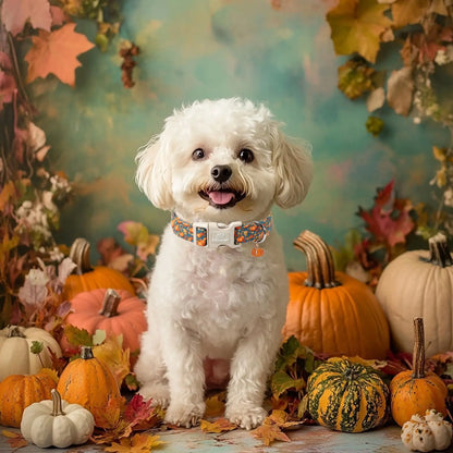 Charming Amber Fall Pumpkin Cotton Dog Collar - Adjustable, Lightweight, and Chew Resistant for Small Dogs, Perfect for Fall Adventures!