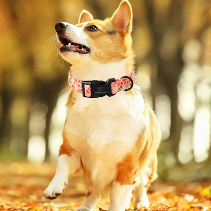 Charming Amber Fall Pumpkin Cotton Dog Collar - Adjustable, Lightweight, and Chew Resistant for Small Dogs, Perfect for Fall Adventures!